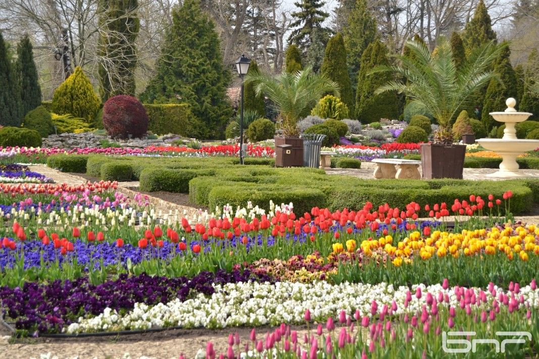 от ВАРНА - ПРАЗНИК НА ЛАЛЕТО В БАЛЧИК и НОС КАЛИАКРА