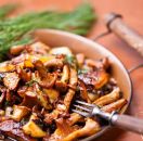 от СОФИЯ -  ПРАЗНИК НА ТЕЛЕШКОТО В С.КРАИЩЕ