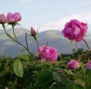 от БУРГАС и АЙТОС - В СЪРЦЕТО НА ТРАКИЯ: КАЗАНЛЪК И ГРОБНИЦА ОСТРУША