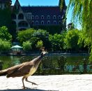 от БУРГАС - РАВАДИНОВО,АХТОПОЛ И ЦАРЕВО