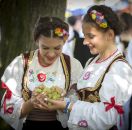 от ПЛОВДИВ и СОФИЯ - ПРАЗНИК НА ВИНОТО В ГРАД ТОПОЛА - СЪРБИЯ