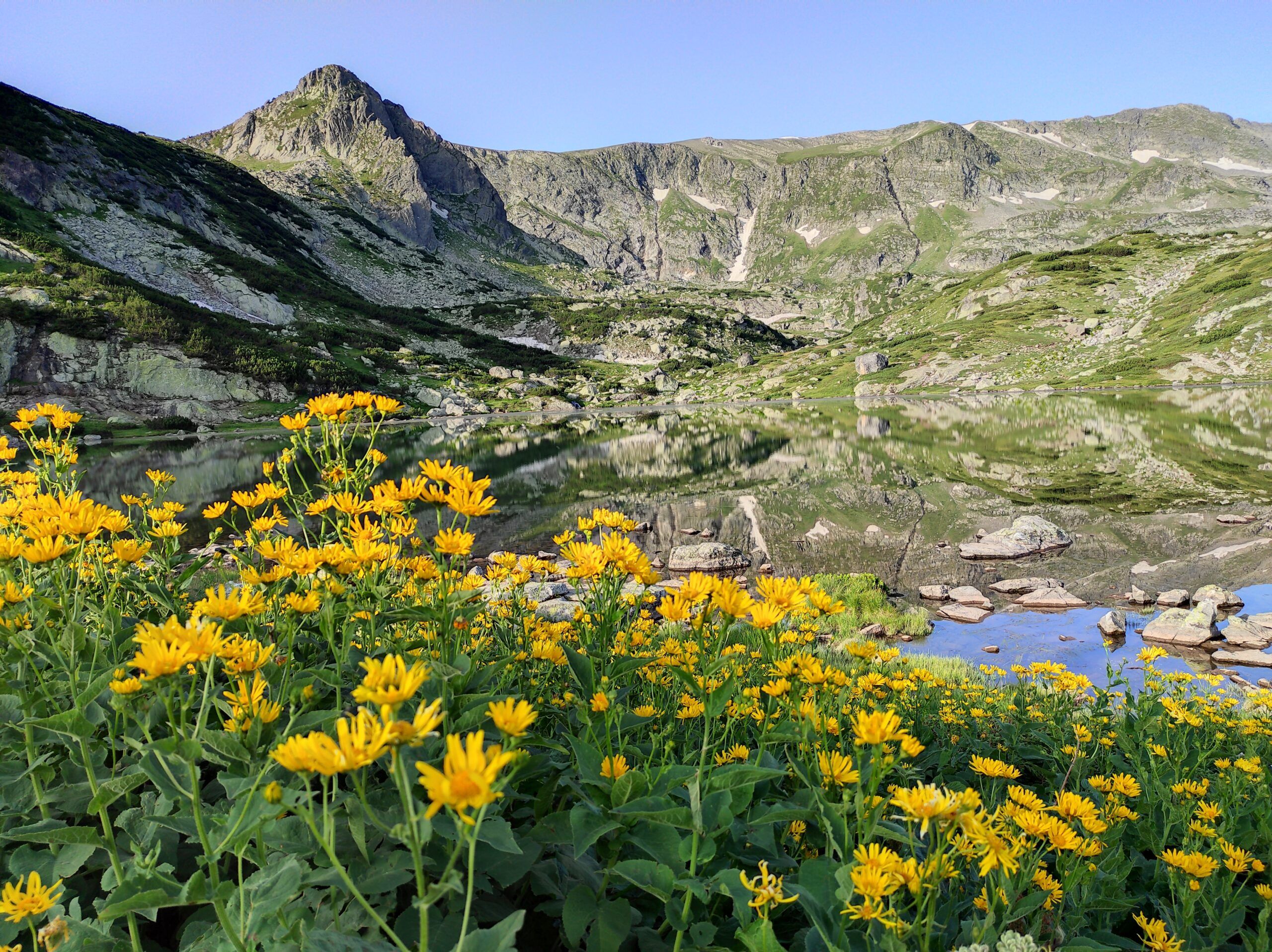 от ПЛОВДИВ - МАГИЯТА НА САКАР ПЛАНИНА
