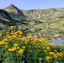 от ПЛОВДИВ - МАГИЯТА НА САКАР ПЛАНИНА