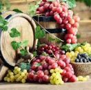 от ВАРНА - ТРИФОН ЗАРЕЗАН - СВЕТИ ВАЛЕНТИН В НИШ